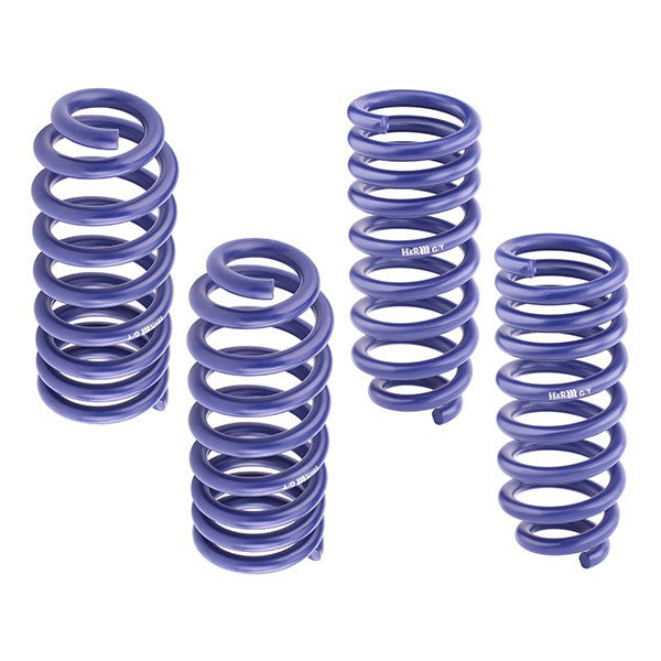 H&R 29898-1 Suspension Kit, Coil Springs For Nissan Micra II Hatchback (K11)