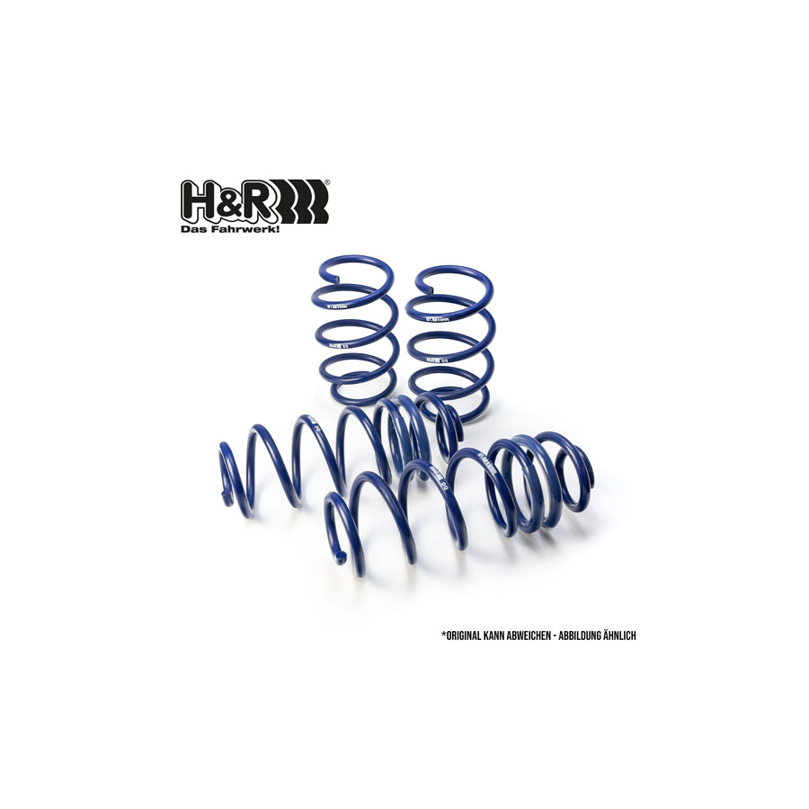 H&R 28757-4 Performance Lowering Springs