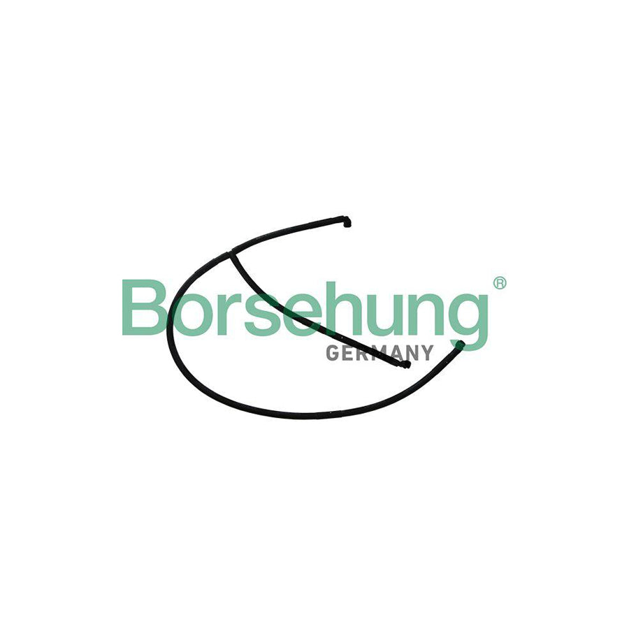 Borsehung B11988 Pipe, Window Cleaning