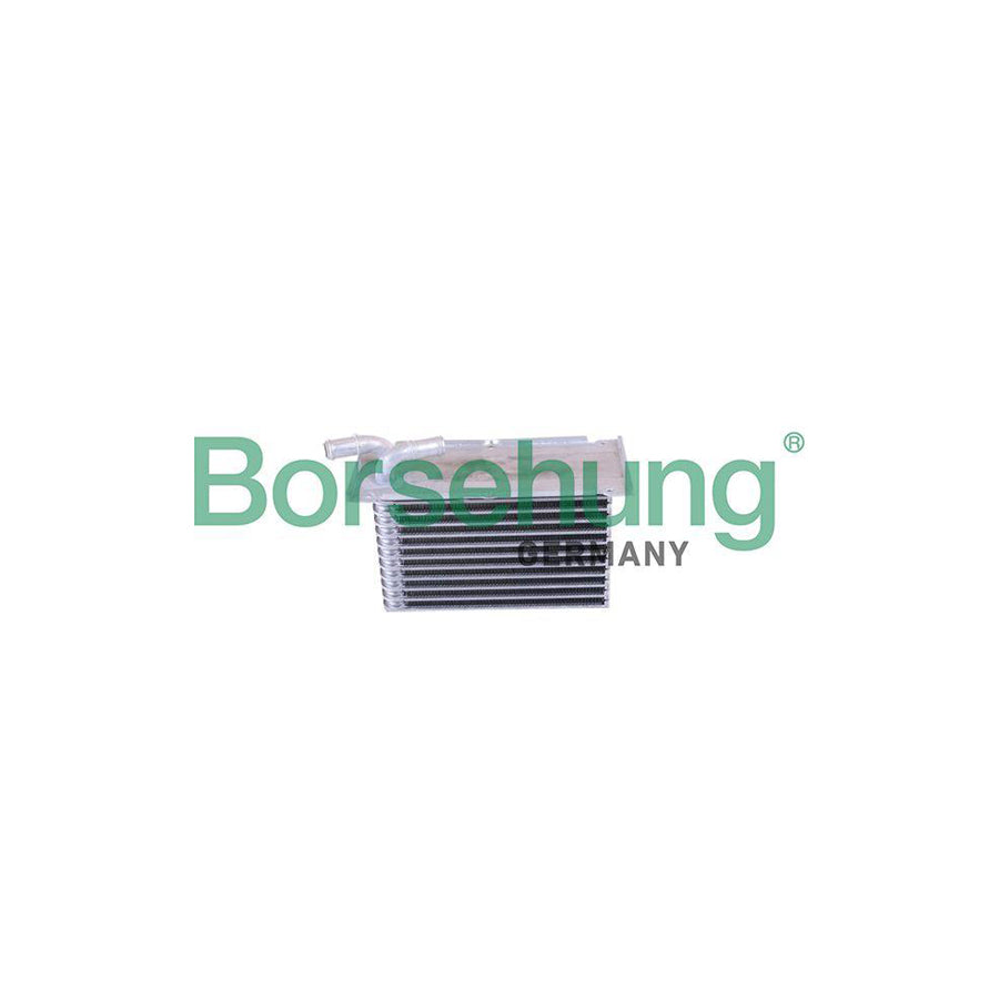 Borsehung B10881 Intercooler