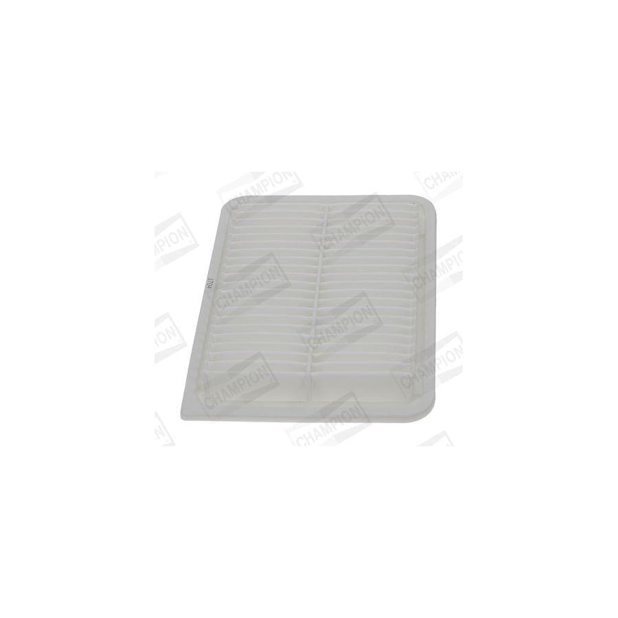 Champion CAF101107P Air Filter