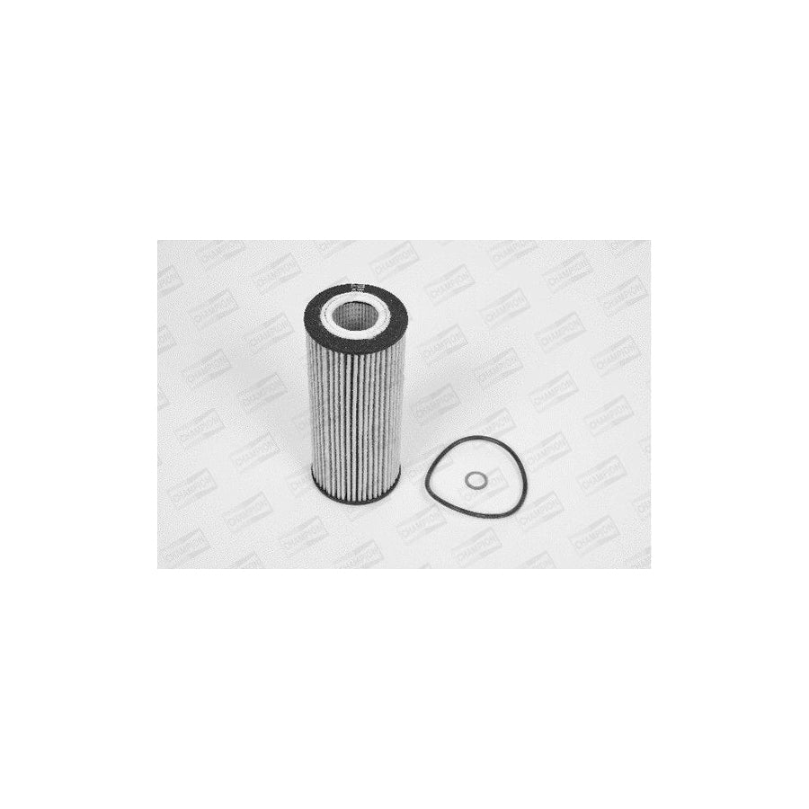 Champion Eon Titan Xe549/606 Oil Filter