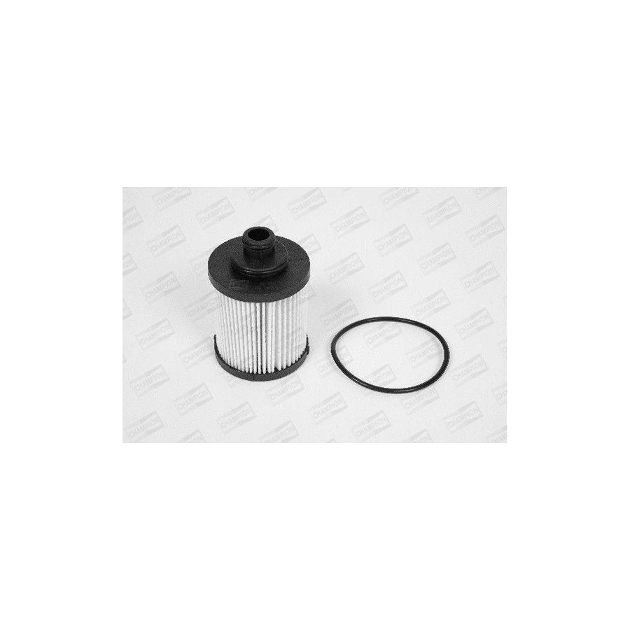 Champion Xe578/606 Oil Filter