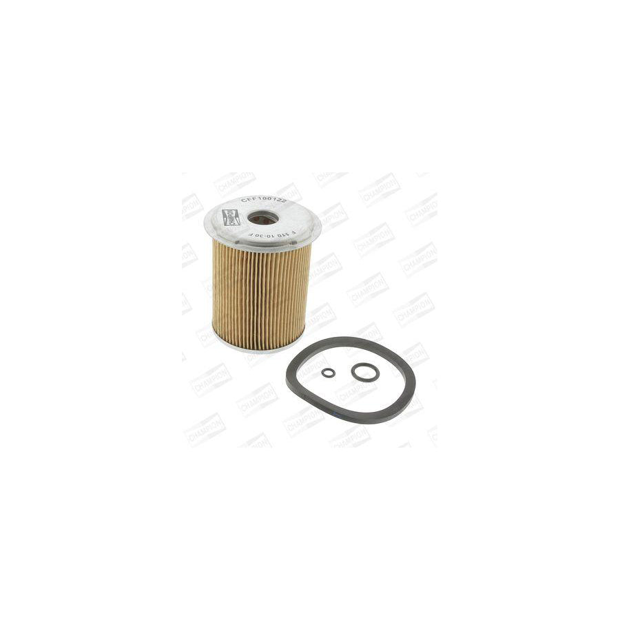 Champion CFF100122 Fuel Filter