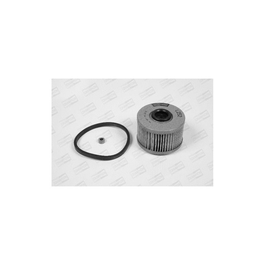 Champion L252/606 Fuel Filter