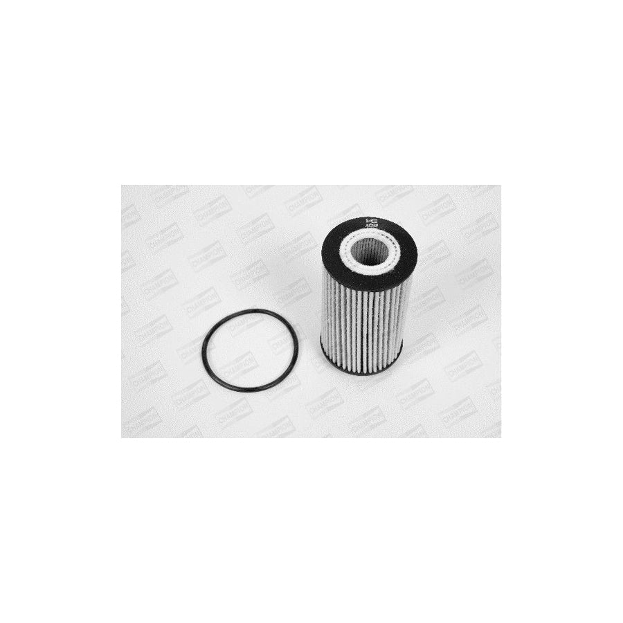 Champion Xe559/606 Oil Filter