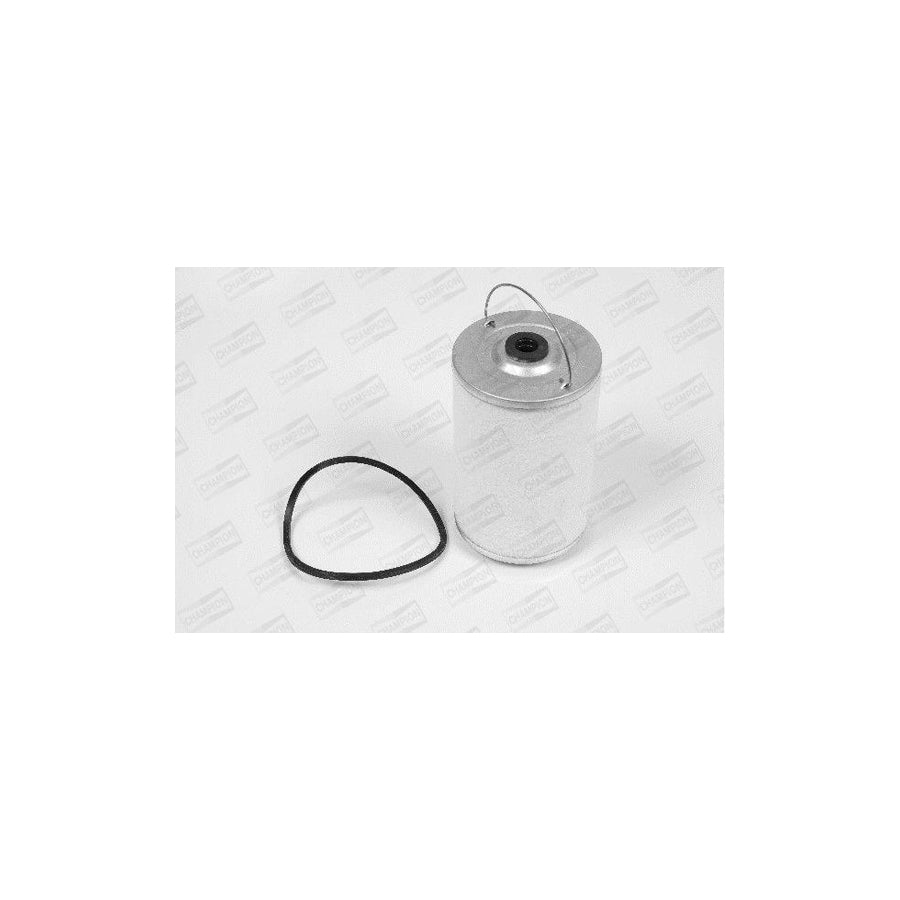 Champion L140/606 Fuel Filter