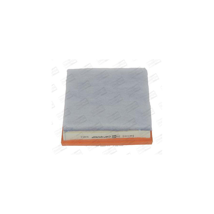 Champion CAF101245P Air Filter