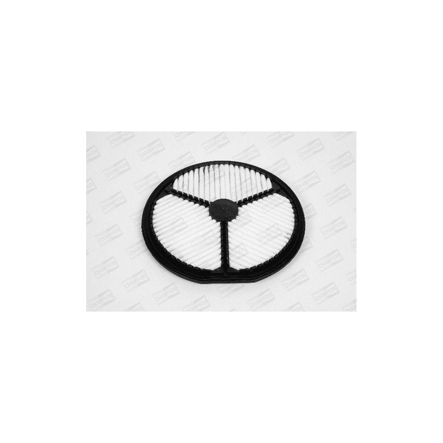 Champion W718/606 Air Filter